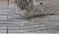 Photo Textures of Wood